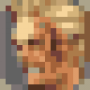 save-icon-zell.png