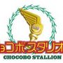 chocostallion-logo.jpg