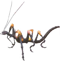 Mantis Suprême