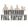 15._final_fantasy_xv_brotherhood.jpg
